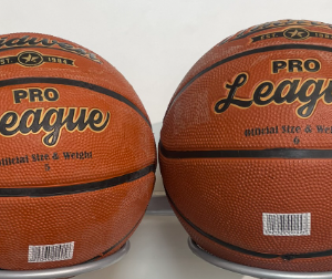 Midwest Pro League Basketball - Size 5/6/7